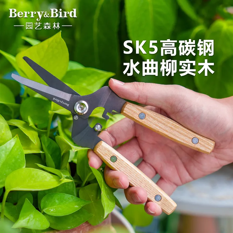 Berry&Bird园艺森林SK5高碳钢剪刀种花园艺修剪花枝剪家用鲜切花