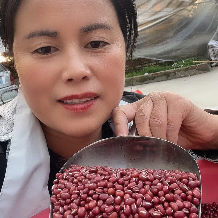 农家自种红小豆饱满营养易出沙可煮粥煲汤做豆沙的五谷杂粮