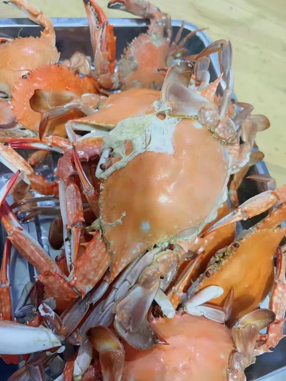 每只2两到3两的公海蟹3斤顺丰包邮到家，保鲜不保活。