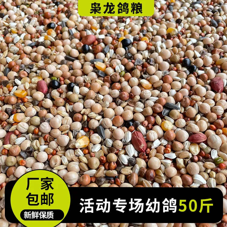 枭龙活动专场幼鸽50斤赛鸽信鸽肉鸽营养鸽子粮24省包邮
