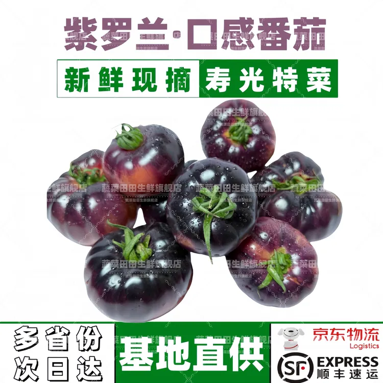 寿光特菜紫罗兰西红柿口感番茄沙瓤番茄爆汁