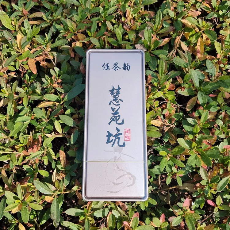慧苑坑肉桂香气馥郁果香桂味十足岩韵突显滋味醇厚岩茶里的高级货