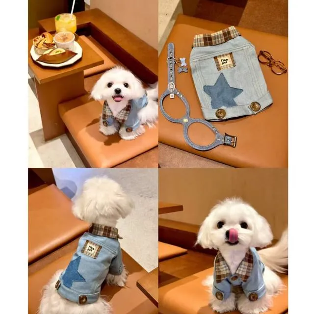 狗狗猫咪夏季透气可爱小猫小狗衣服雪纳瑞泰迪博美宠物衣服小型犬