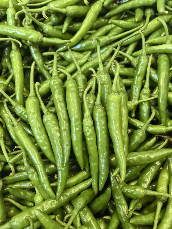 新鲜薄皮辣椒邳州特产正宗本地鲜辣椒现摘现发特辣中辣微辣香辣