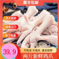 新鲜大号鸡爪 拍1斤送1斤 到手2斤 不包冰衣 顺丰包邮