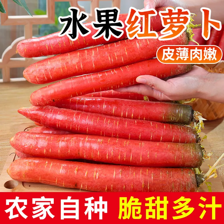 正宗陕西沙地水果红萝卜脆甜新鲜当季水果整箱生吃红心包邮胡萝卜