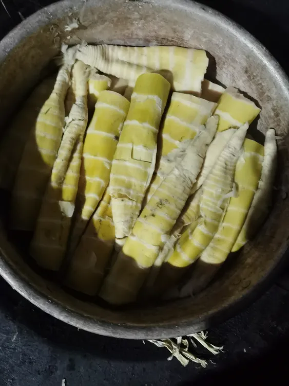 新鲜嫩尖竹笋，以煮熟，直接干煸，炒菜都行。