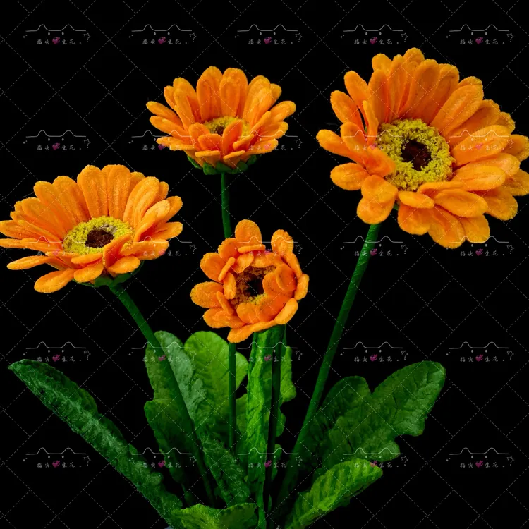 扭扭棒仿真非洲菊材料包（不含花盆）送教程