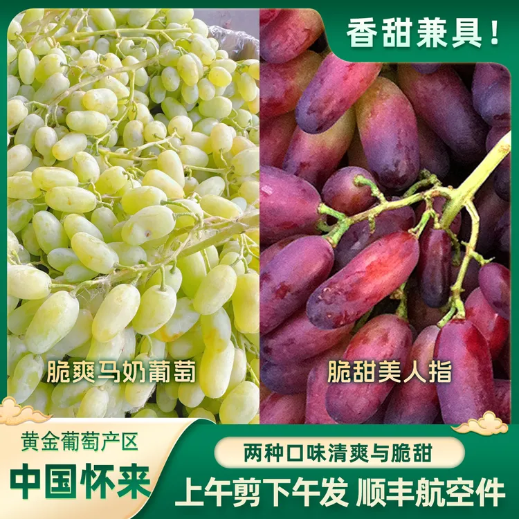 【四斤双拼】白马奶葡萄美人指怀来葡萄顺丰航空件