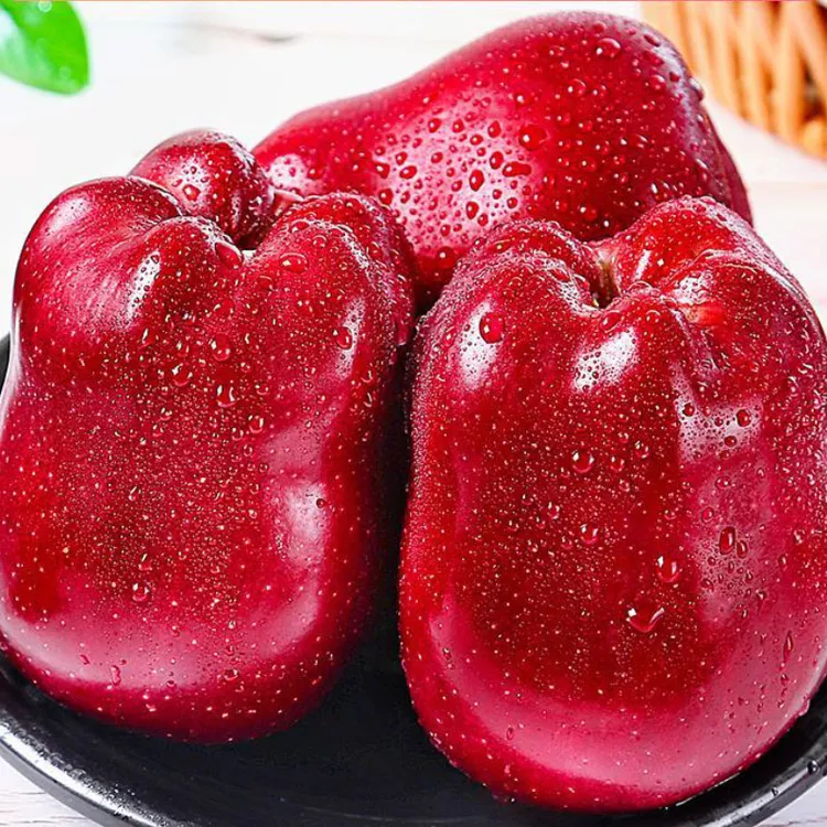 甘肃天水花牛苹果正宗新鲜红蛇粉面丑平安圣诞果当季水果整箱包邮