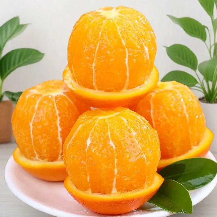 正宗新鲜纽荷尔脐橙子农家自种新鲜现摘水果皮薄多汁香甜可口