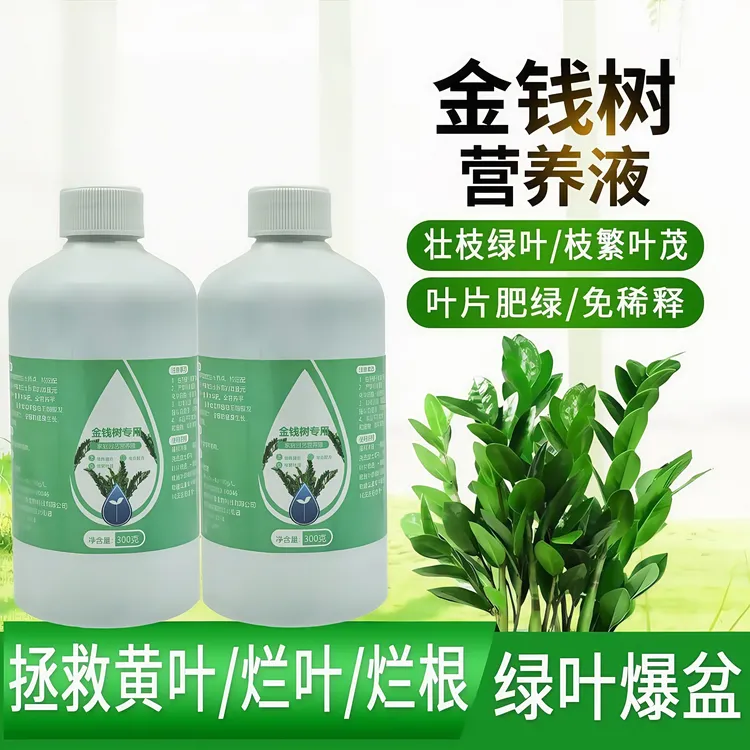 金钱树肥料专用肥金钱树营养液植物浓缩型家用室内盆栽养花防黄叶