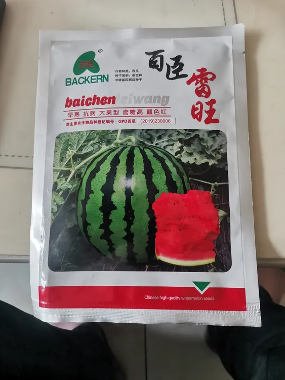 百臣雷旺早熟园瓜1000粒