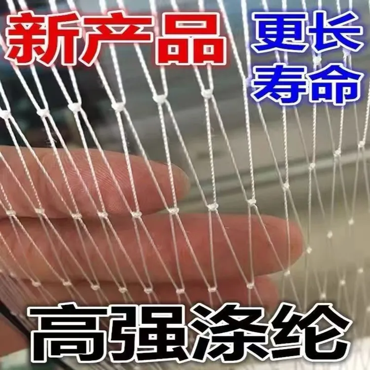抗老化涤纶复丝材质防鸟网果园防护网大棚葡萄防鸟天网