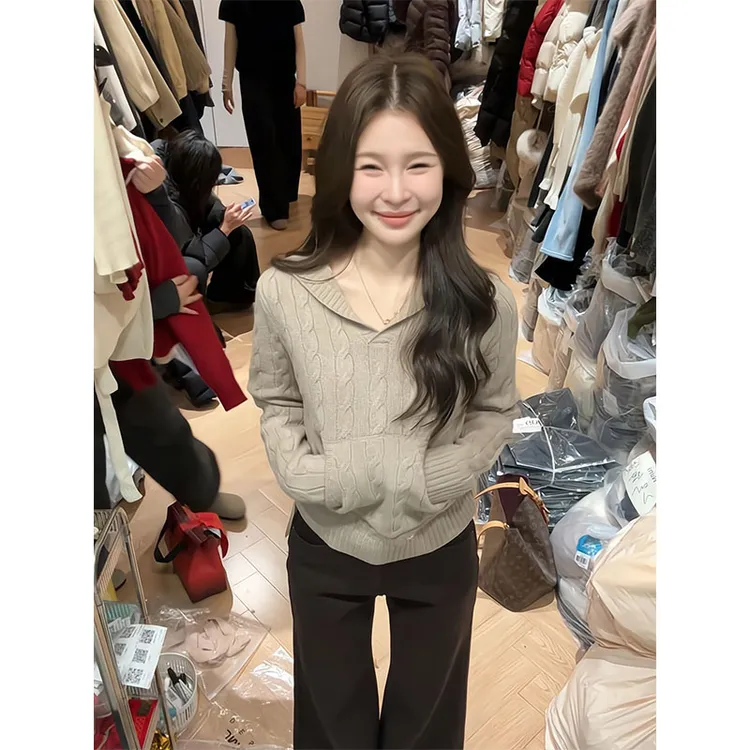 麻花连帽针织衫女冬外套韩系氛围感早秋穿搭打底上衣直筒显瘦裤子