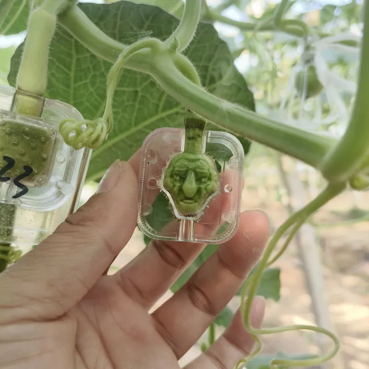 天然葫芦耐用型免螺丝手持定型葫芦套模具哪吒新款农家乐使用方便