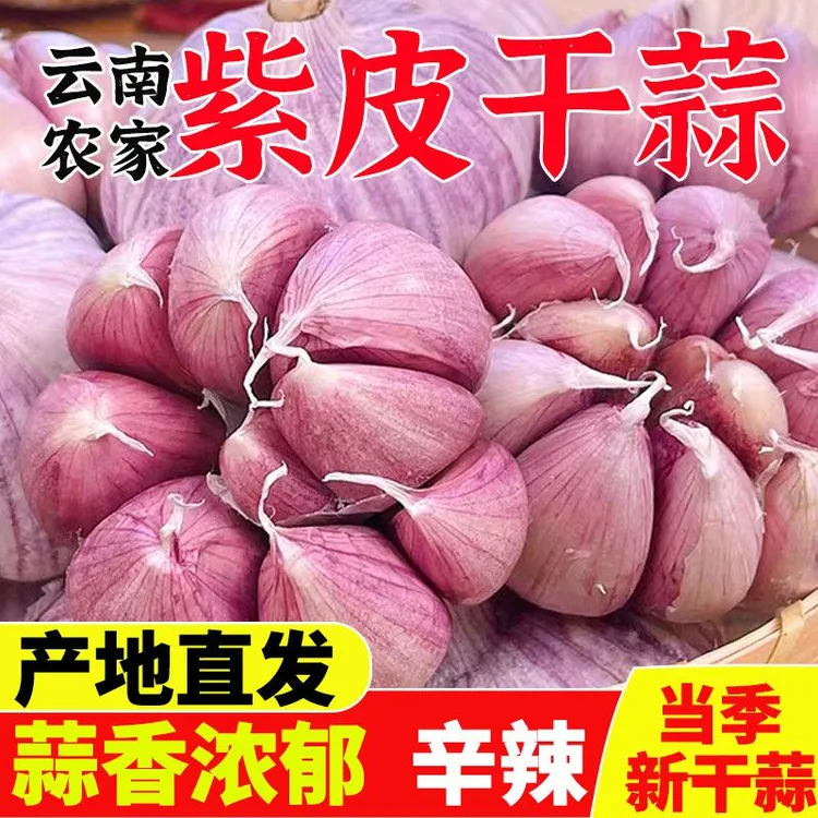 云南大理紫皮大蒜25年新蒜头蒜辛辣多汁蔬菜腊八蒜SXT