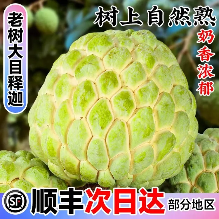 顺丰释迦果5斤新鲜水果现摘当季水果大果荔枝释迦佛头果孕妇水果