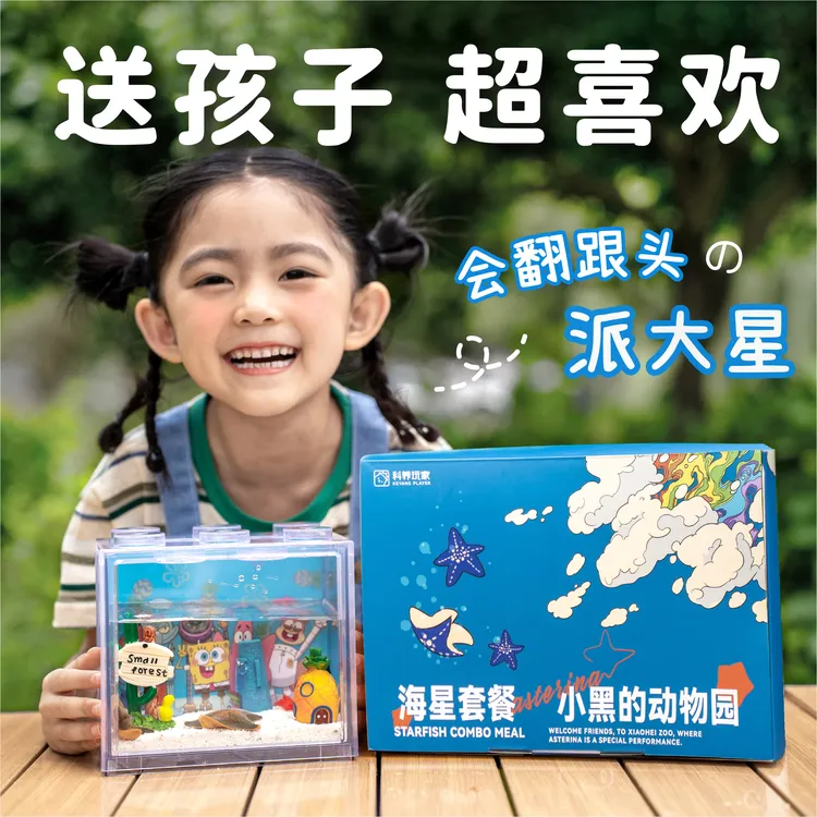 【海星套餐】桌面海洋海燕迷懒人宠物好养
