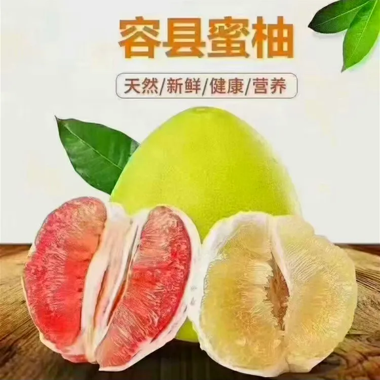 容县蜜柚红心蜜柚老树红肉蜜柚白肉蜜柚新鲜水果酸甜多汁果园直发