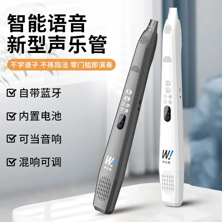 不学就会的电子声乐管 自带蓝牙音响 