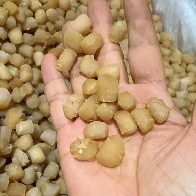 【不放干燥剂】10成干中大干贝干野生瑶柱扇贝海鲜煲汤宝宝营养美味