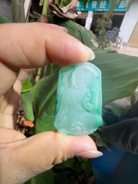 天然非洲翠观音（男）