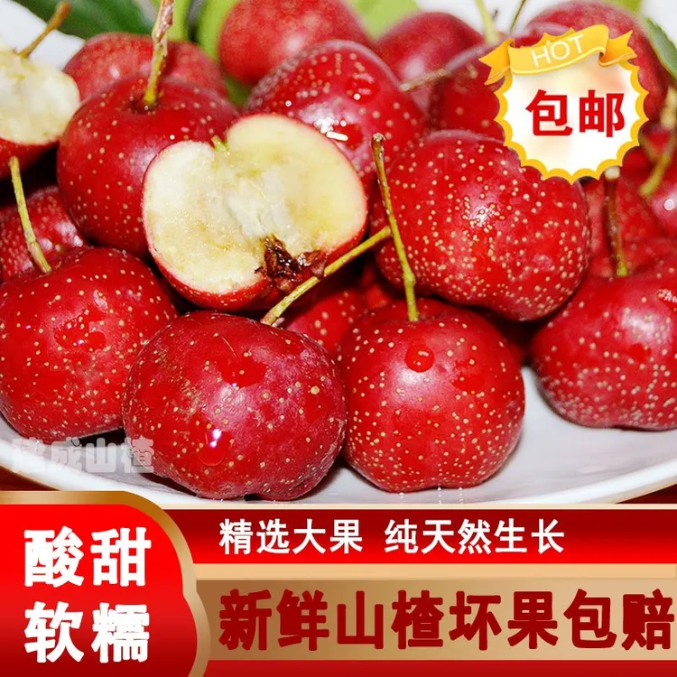 新鲜山楂果特级大果糖葫芦原料自然成熟山里红果大金星大五棱
