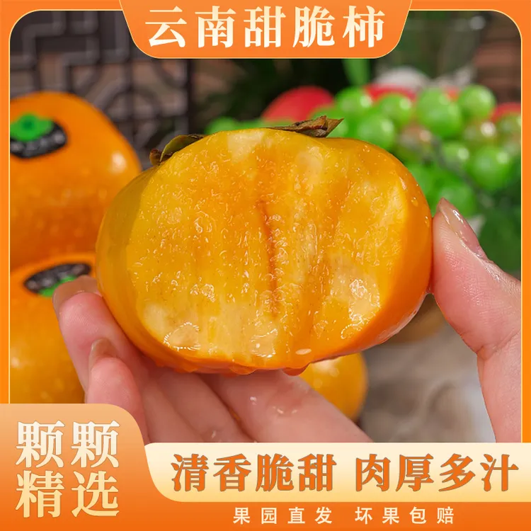 云南甜脆柿新鲜头茬巧克力甜脆柿当季水果现摘现发脆甜多汁3斤起