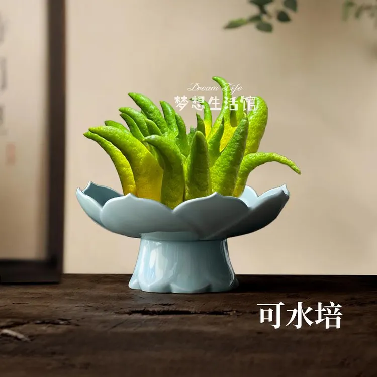 W佛手柑托盘器皿陶瓷水培摆放佛手禅意风中式古风花器托盆花瓶摆