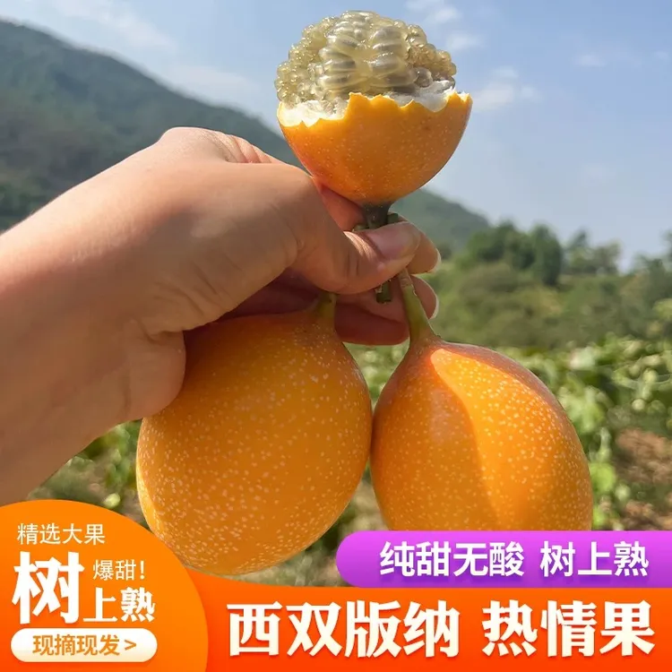 【顺丰包邮】西双版纳热情果爱情果哥伦比亚果清甜饱满孕妇新鲜水果