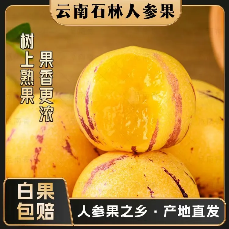 【ZT 树上熟 白果包赔 】人参果 云南石林果黄肉圆果 自然成熟