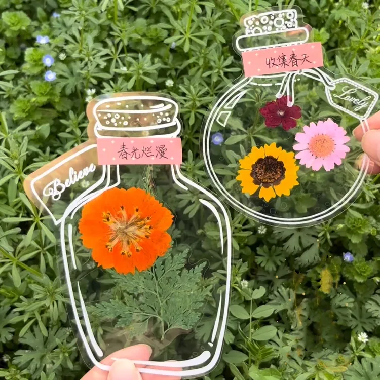 瓶子里的春天手工DIY透明贴纸创意干花书签收集春天树叶花瓣标本