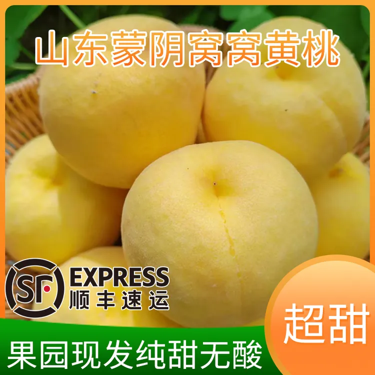 蒙阴蜜桃新鲜现摘甜黄桃当季时令水果脆甜多汁窝窝黄桃