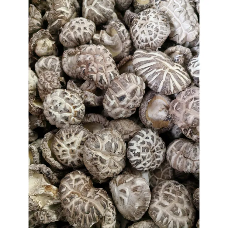 精选建宁特产椴木花菇干货特级小香菇