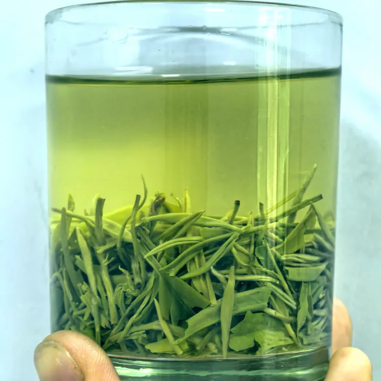 明前春茶牙毛尖清香回甘