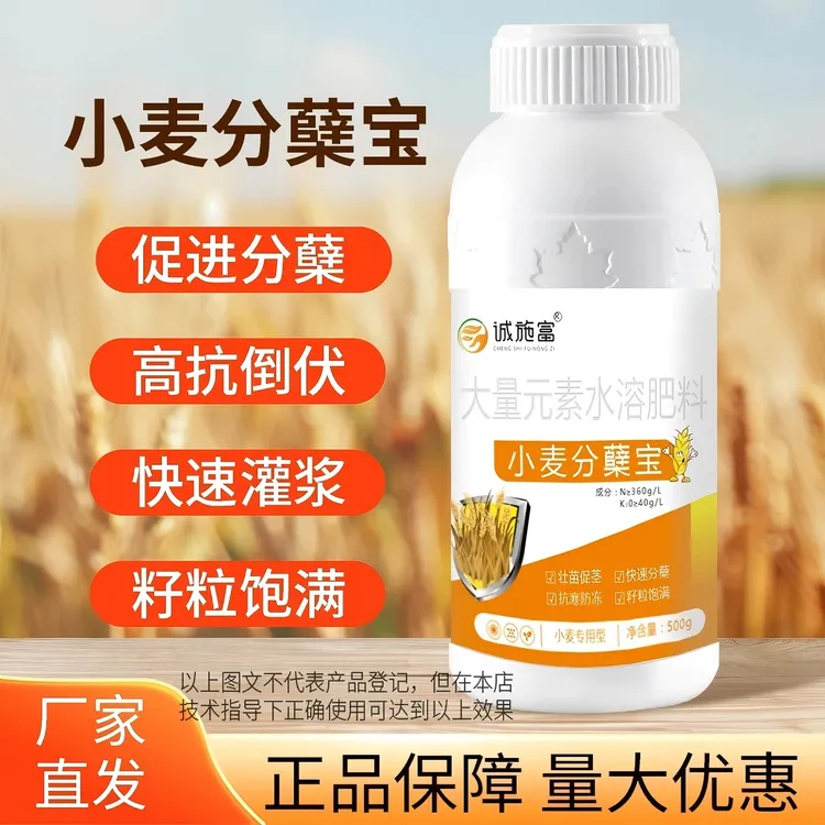 诚施富小麦分蘖宝壮苗促苗增产专用籽粒饱满茎杆粗壮抗倒伏叶面肥