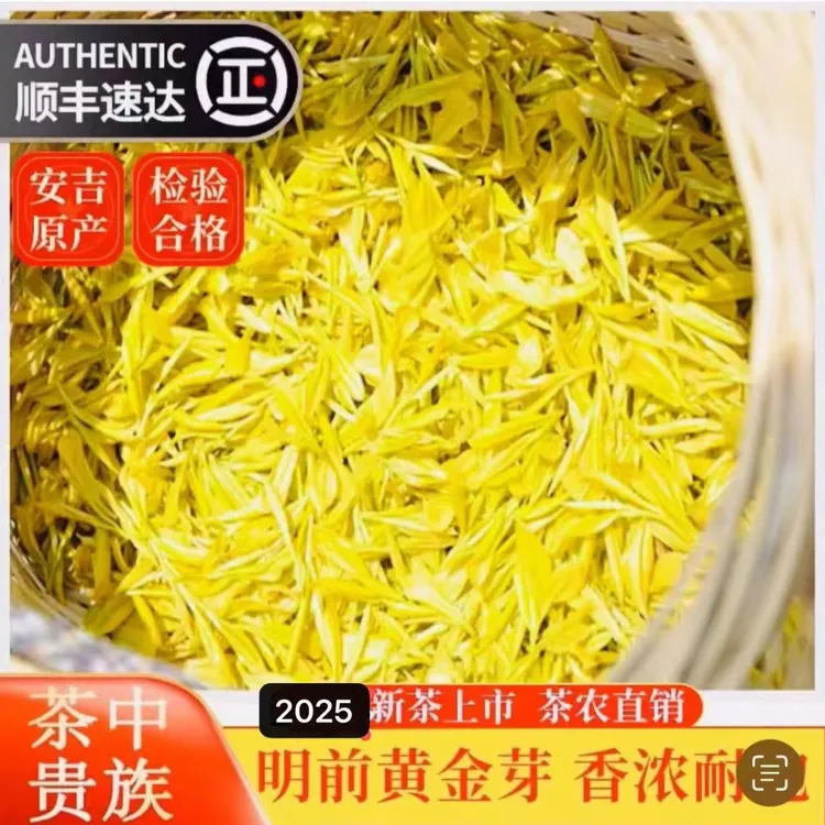 『头采手工小嫩芽』2025年 H818款头采高山手工黄金芽   250g/500g