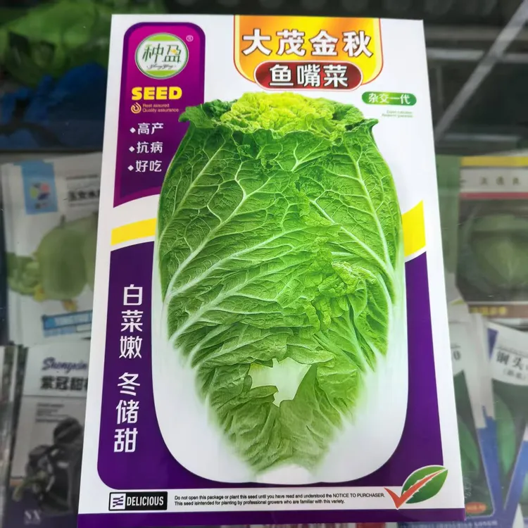 种盈鱼嘴菜白菜种子