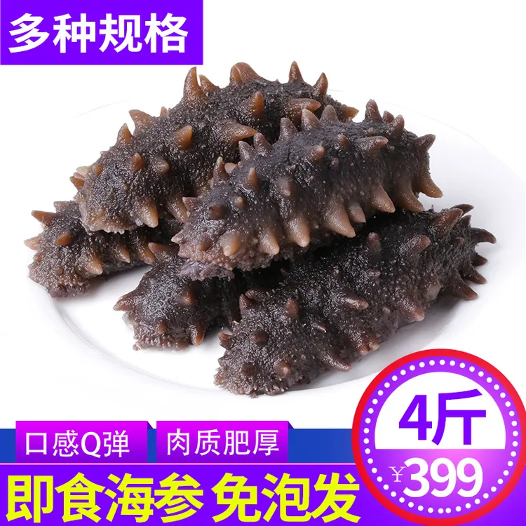 即食海参长月岛1斤1袋4斤深海刺参鲜活加工非淡干劲道开袋速食