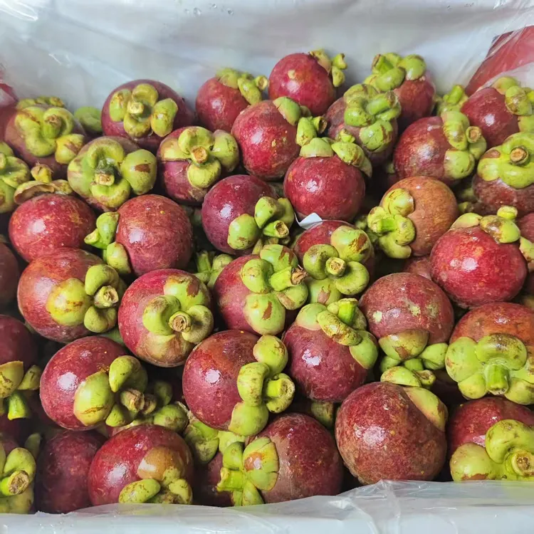 新到4A山竹 <2个以内不售后>