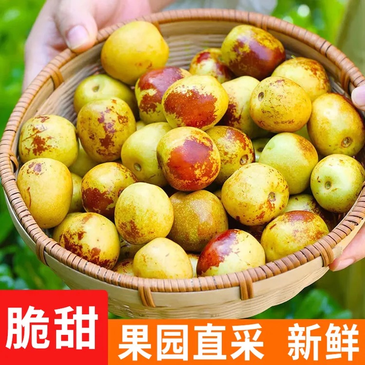 【超值5斤】冰糖冬枣YT脆甜新鲜水果应季当季青红枣子批发