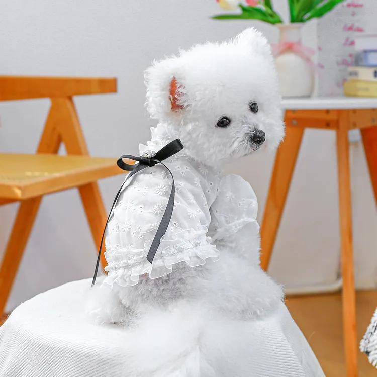 宠物狗狗衣服法式镂空衬衫春夏薄款泰迪比熊猫咪