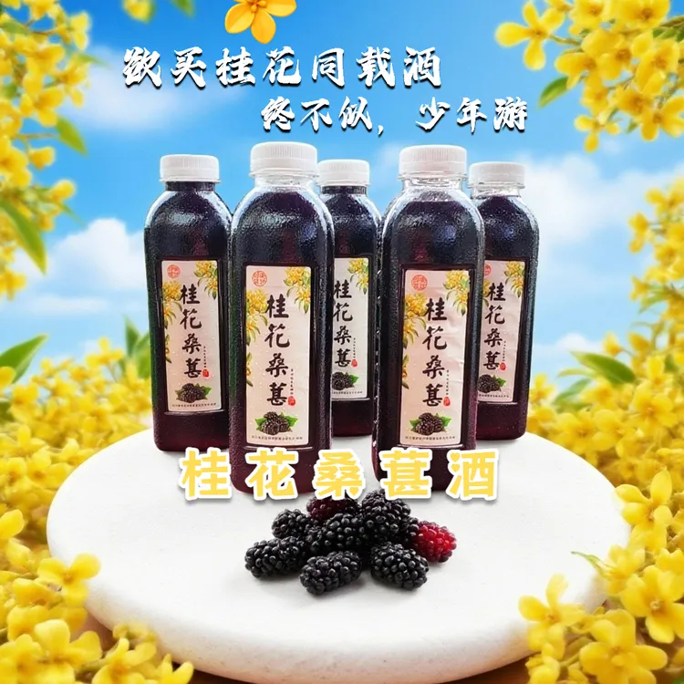 桂花桑葚酒11度微醺桂花桑葚原汁发酵500ml桑葚酒