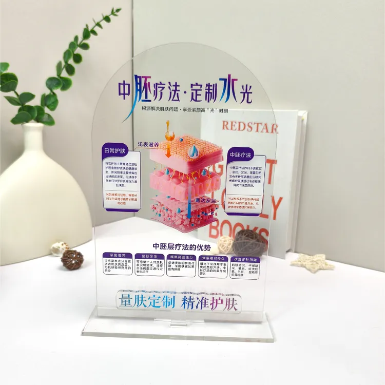 美容院桌面装饰摆件分层抗衰肌肤结构亚克力医患沟通皮肤解剖知识