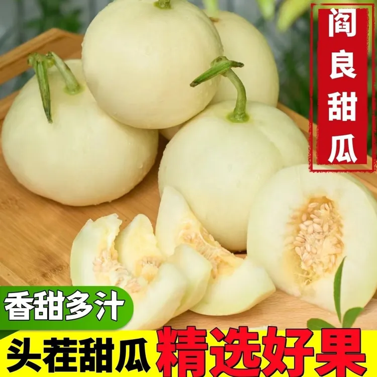 【头茬尝鲜】陕西阎良甜瓜老品种小仔甜瓜白瓜软糯香甜新鲜农家种植