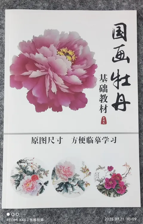 成人零基础写意牡丹教程素材A3大小铜板纸教程资料