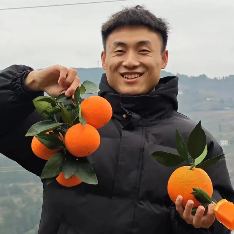 小宋同学家秭归脐橙当季新鲜水果产地直发鲜嫩多汁锁鲜皮薄富含VC
