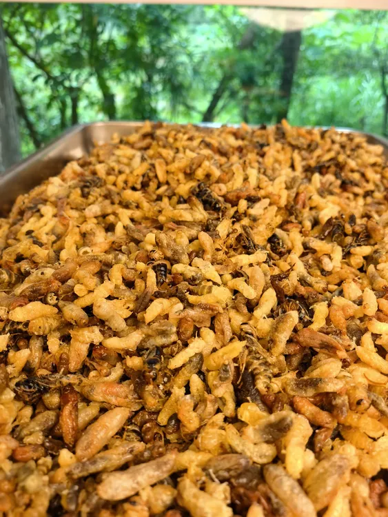 现炸胡蜂七里蜂马蜂1234级统货福利（介意有内脏勿拍）