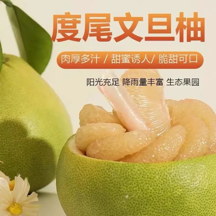 【正宗老树】仙游度尾文旦柚香嫩多汁口感香甜一口爆汁福建柚子